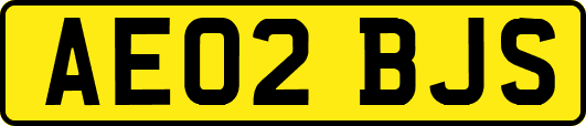 AE02BJS
