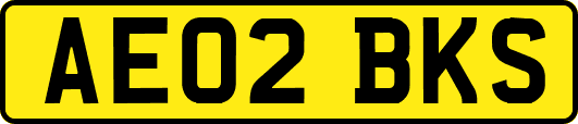 AE02BKS