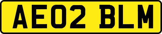 AE02BLM