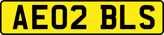 AE02BLS