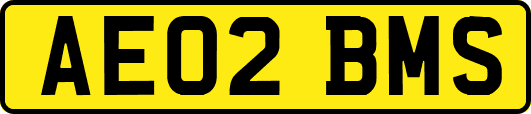AE02BMS