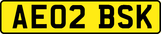 AE02BSK