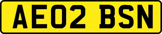 AE02BSN
