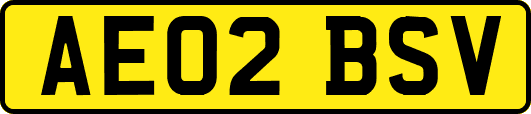 AE02BSV