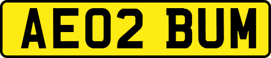AE02BUM