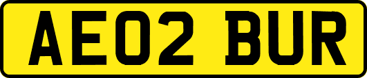 AE02BUR