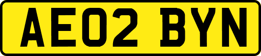 AE02BYN