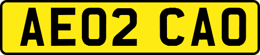 AE02CAO