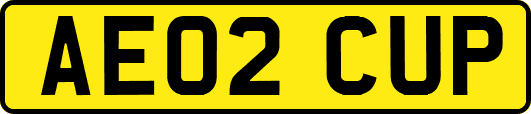 AE02CUP