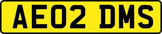 AE02DMS