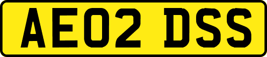 AE02DSS