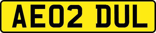 AE02DUL
