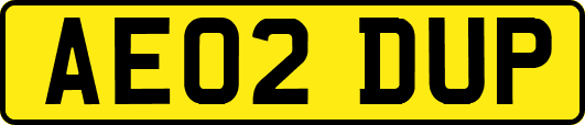 AE02DUP