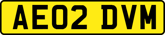 AE02DVM