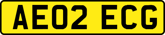 AE02ECG