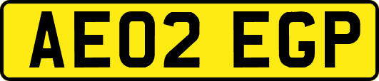 AE02EGP