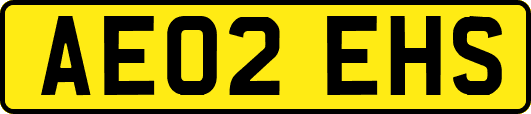 AE02EHS