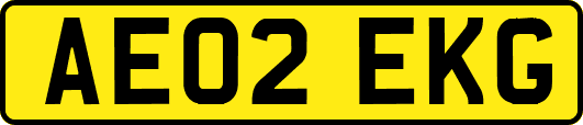 AE02EKG