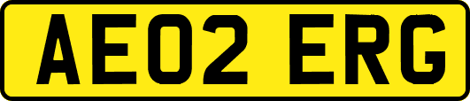 AE02ERG