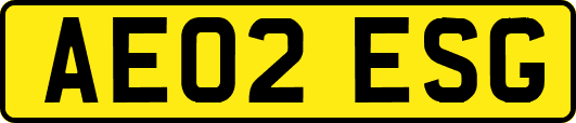 AE02ESG