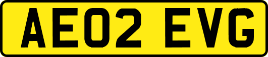 AE02EVG