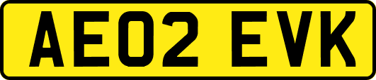 AE02EVK