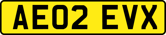 AE02EVX