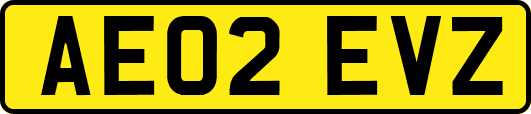 AE02EVZ