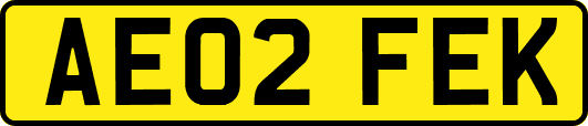 AE02FEK