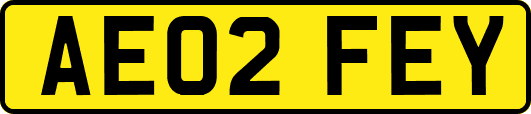 AE02FEY