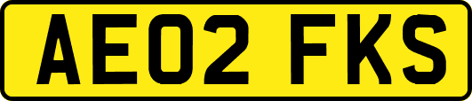 AE02FKS