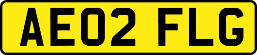AE02FLG