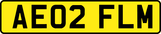 AE02FLM
