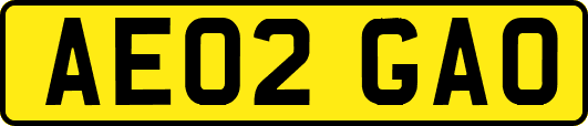 AE02GAO