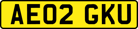 AE02GKU