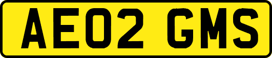 AE02GMS