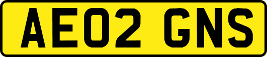 AE02GNS