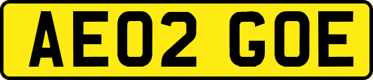 AE02GOE