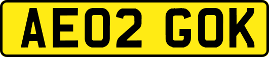 AE02GOK