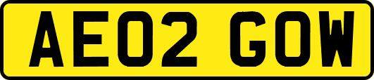AE02GOW