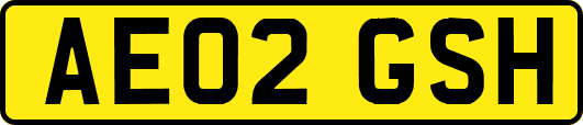 AE02GSH