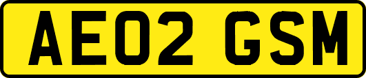 AE02GSM
