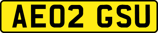 AE02GSU
