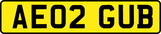AE02GUB