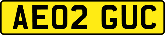 AE02GUC