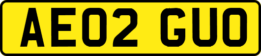 AE02GUO