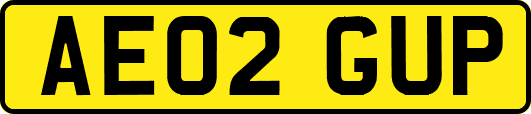 AE02GUP