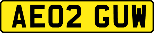 AE02GUW