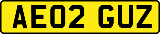 AE02GUZ
