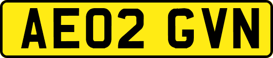 AE02GVN